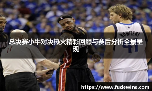 总决赛小牛对决热火精彩回顾与赛后分析全景呈现