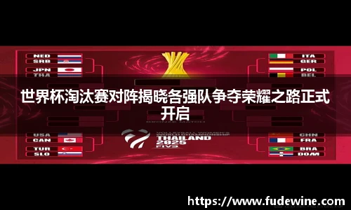 世界杯淘汰赛对阵揭晓各强队争夺荣耀之路正式开启